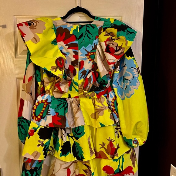 Designer Dress by Christopher John Rogers! Great party dress! - Picture 2 of 5